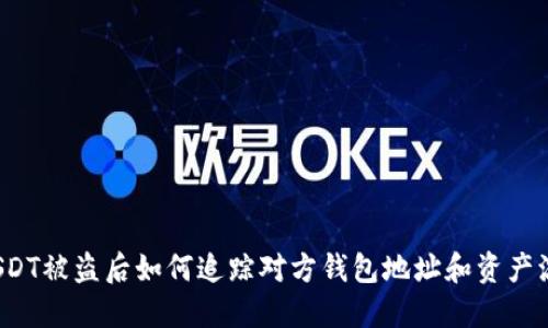  USDT被盗后如何追踪对方钱包地址和资产流向