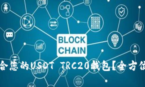 如何选择适合您的USDT TRC20钱包？全方位解析与推荐