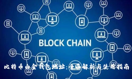 比特币白金钱包地址：全面解析与使用指南